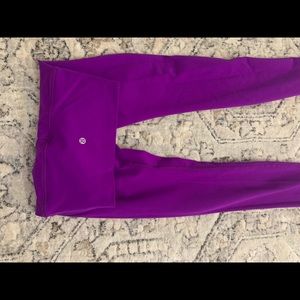 Beautiful purple wunder under